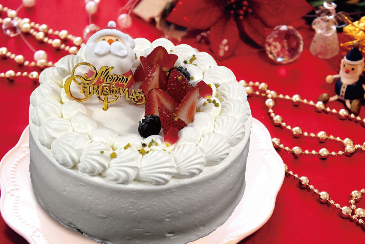 022026xmascake